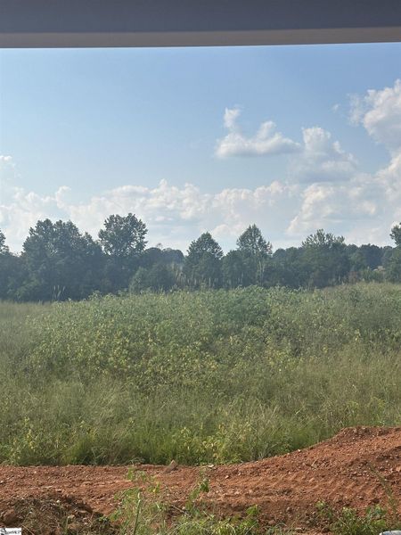 Natural landscape and outdoor views near Shiloh Trail in Wellford (Image 23).