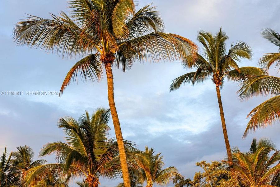 Natural landscape and outdoor views near Salato in Pompano Beach (Image 52).