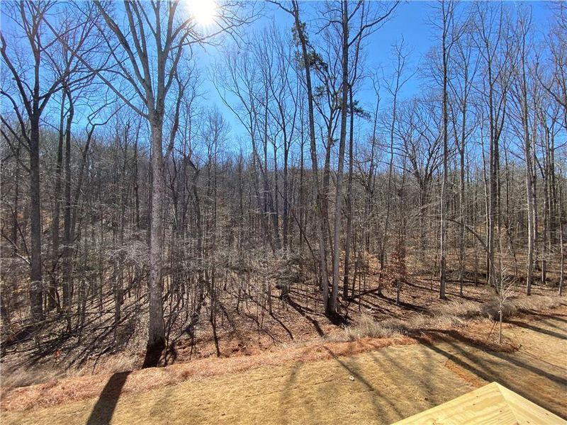 Natural landscape and outdoor views near Creekside in Dawsonville (Image 32).