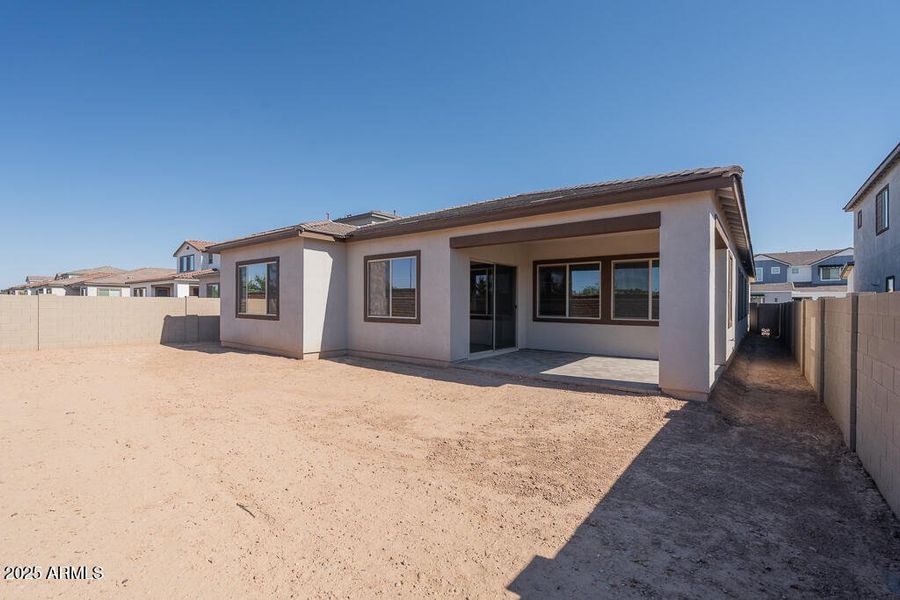 Tri Pointe Waterston Central 388 - Backy