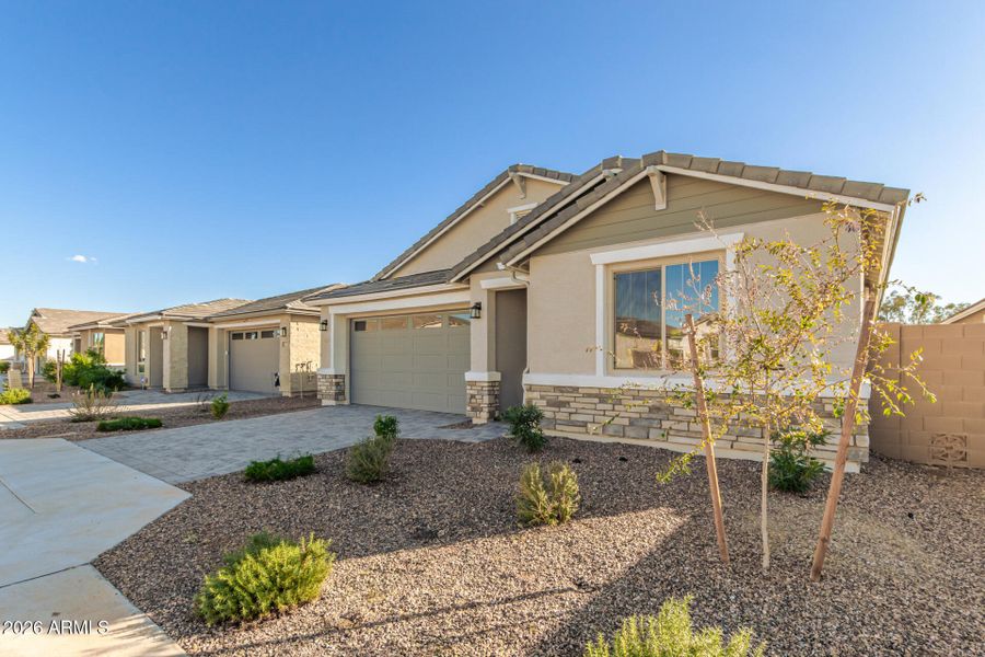 03 Manzanita 03 Manzanita