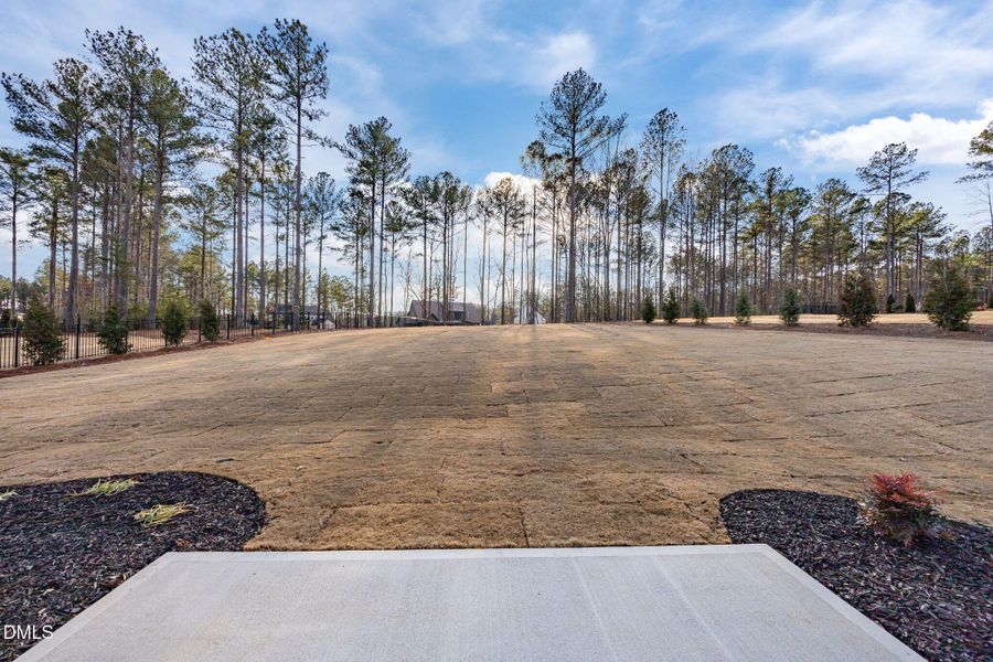 14-web-or-mls-13-IMG_6143