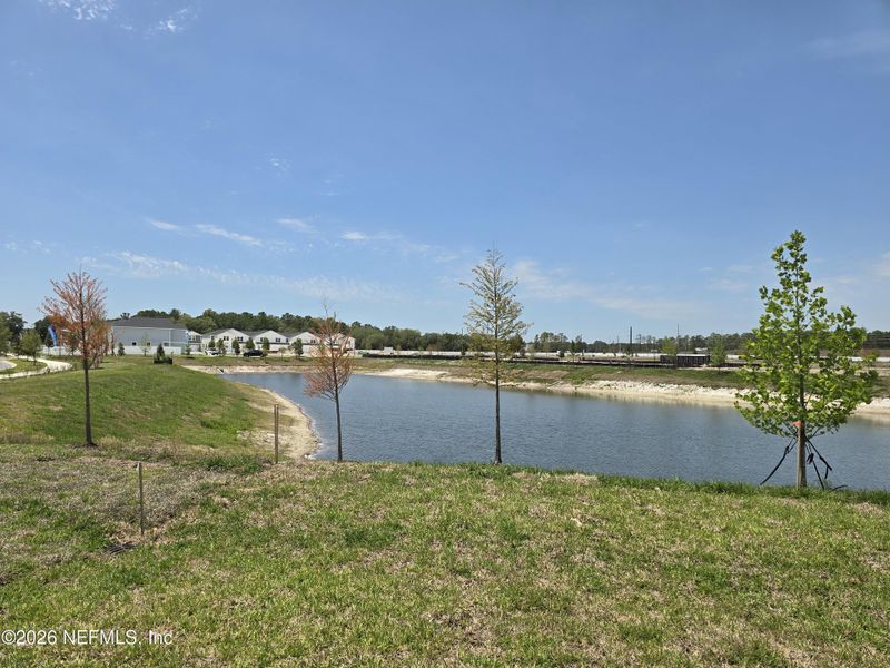 Natural landscape and outdoor views near  in Middleburg (Image 17).