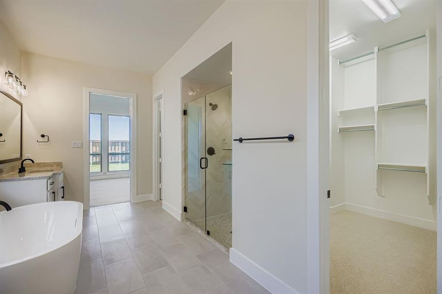 Bathroom with a freestanding tub, vanity, a stall shower, a walk in closet, and light carpet Bathroom with a freestanding tub, vanity, a stall shower, a walk in closet, and light carpet