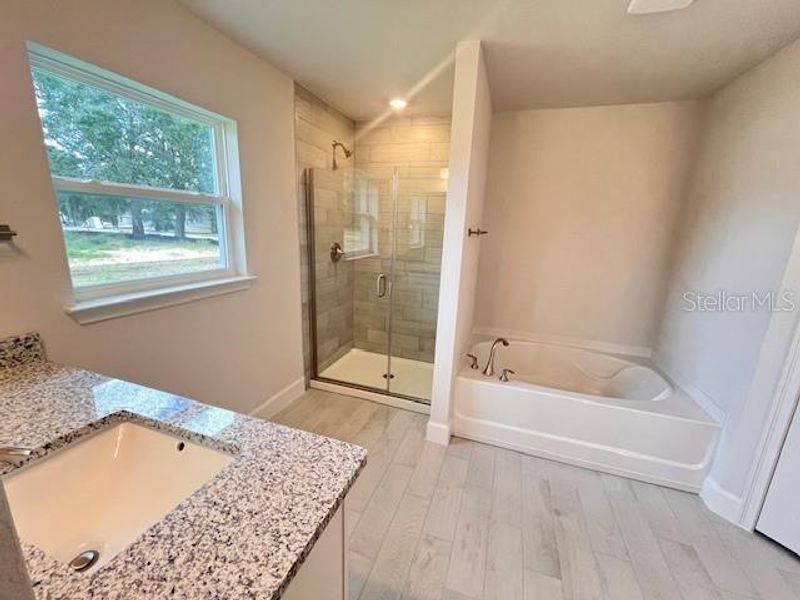 Furnished interior view inside a new home in Hill Country Estates, Dade City (Image 2).