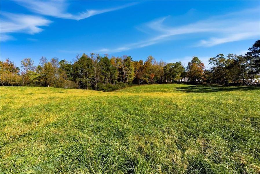 Natural landscape and outdoor views near  in Alpharetta (Image 8).