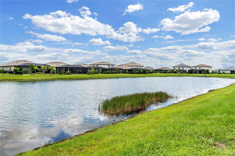 Natural landscape and outdoor views near  in Bradenton (Image 34).