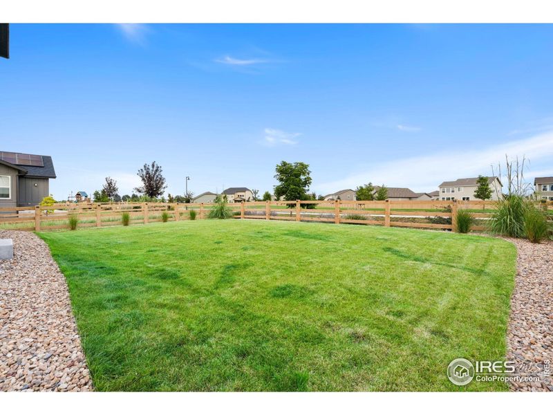 Amazing Backyard Space