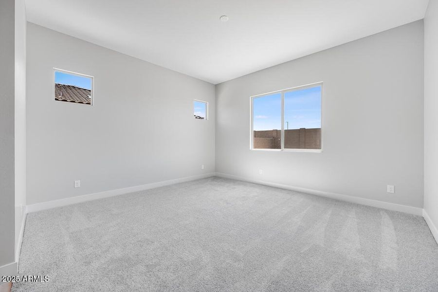 hj-az-phoenix-cantamia-portato-18147-w-t hj-az-phoenix-cantamia-portato-18147-w-t