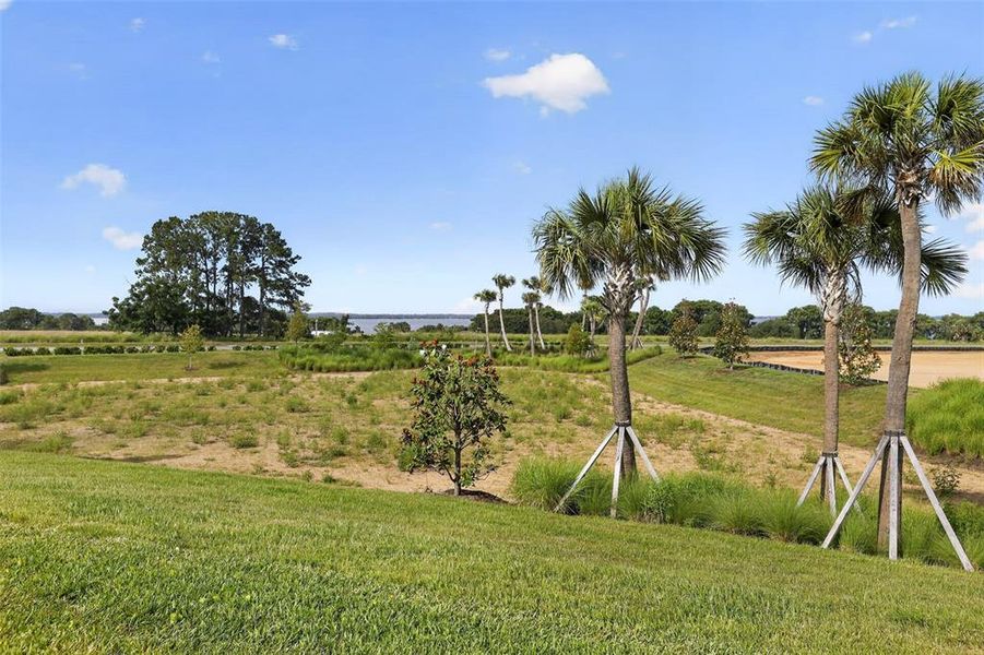 Natural landscape and outdoor views near  in Tavares (Image 22).