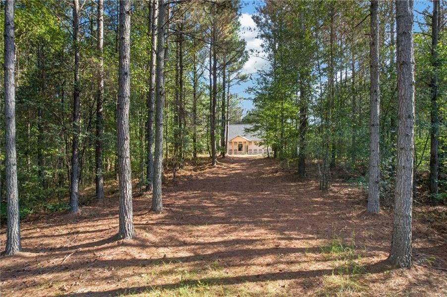Natural landscape and outdoor views near  in Rockmart (Image 41).