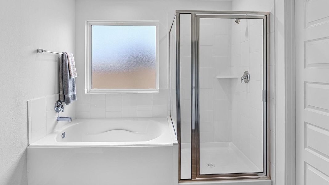 Primary bathroom with a glass-enclosed standing shower and separate soaking tub.