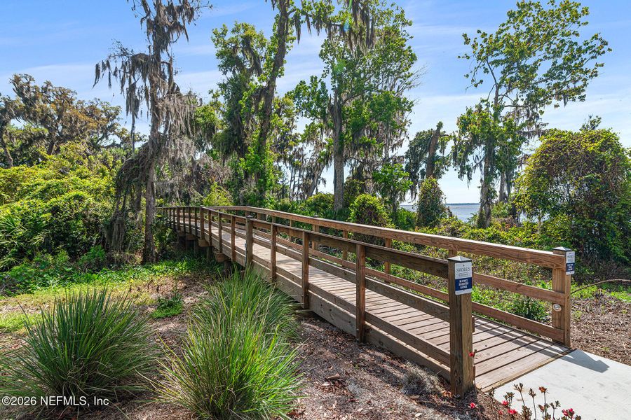 Natural landscape and outdoor views near  in St. Johns (Image 70).