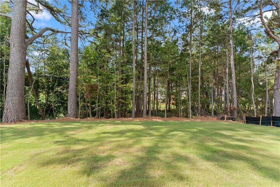 Natural landscape and outdoor views near Magnolia Villas in Cornelia (Image 46). Natural landscape and outdoor views near Magnolia Villas in Cornelia (Image 46).