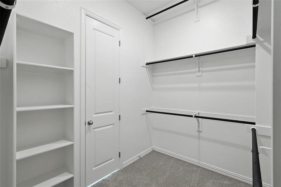 Walk in closet with carpet