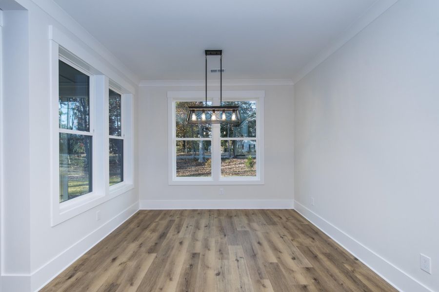 Spacious, unfurnished interior of a new home in , Chapin (Image 42).