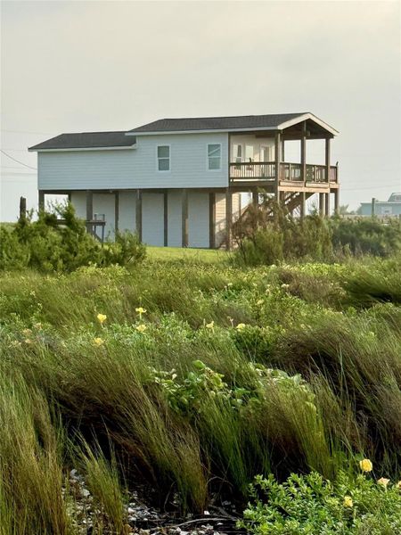 House from beach showing beautiful healthy vegetation. House from beach showing beautiful healthy vegetation.