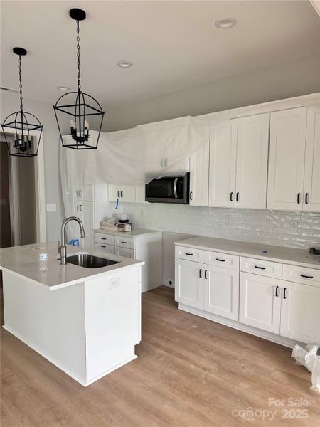 Furnished interior view inside a new home in , Davidson (Image 4).
