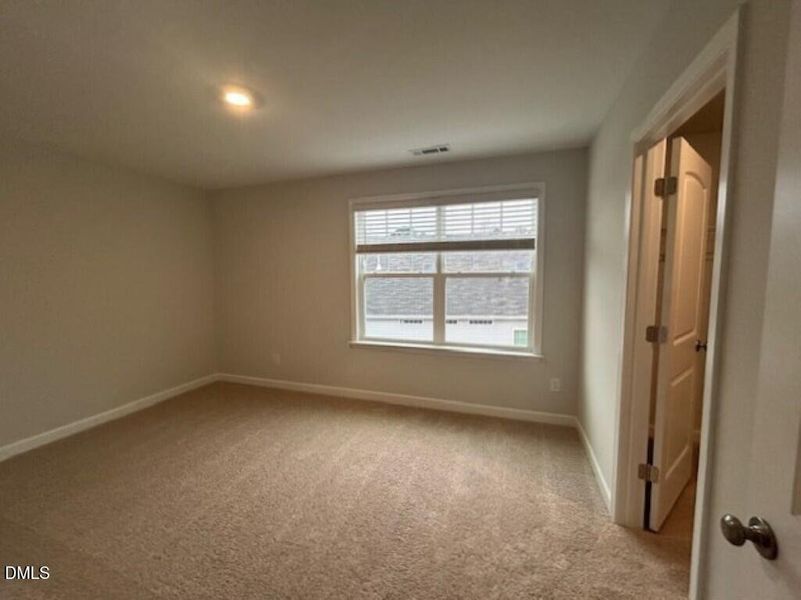 IMG_5048 (Medium) IMG_5048 (Medium)