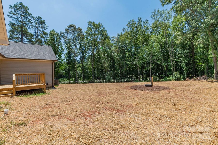 Natural landscape and outdoor views near in Linwood (Image 37). Natural landscape and outdoor views near in Linwood (Image 37).