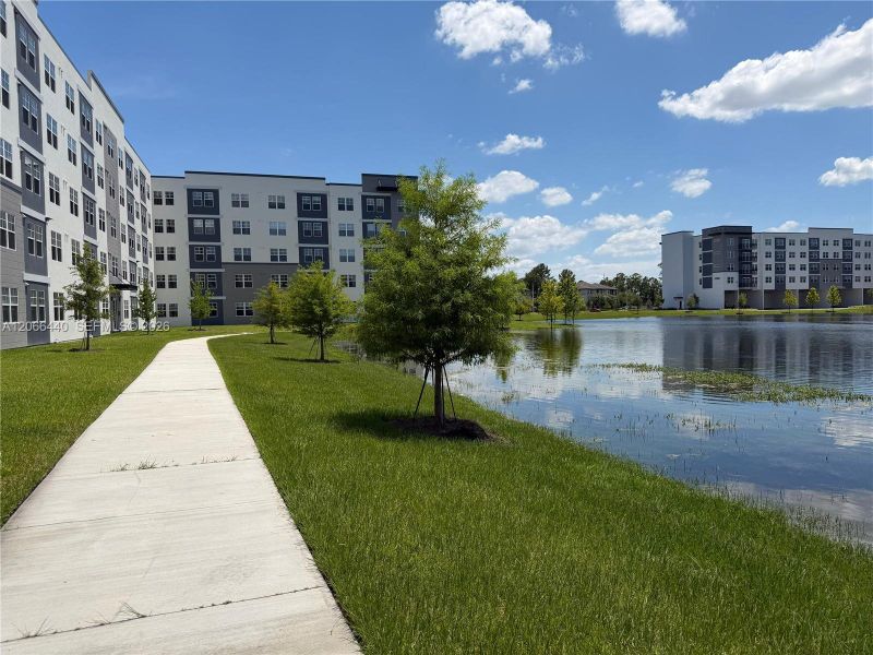 Walking areas surrounding the lake.