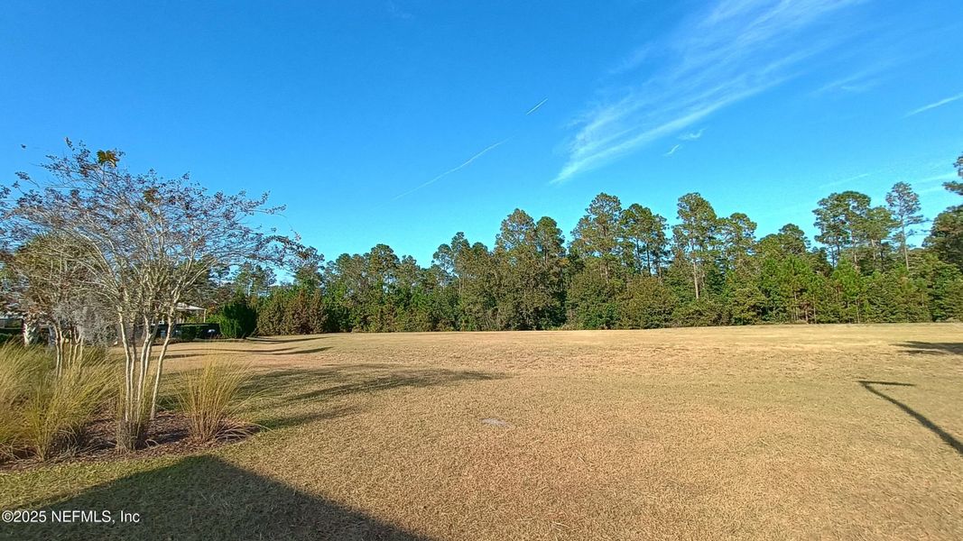 Natural landscape and outdoor views near Cross Creek in Green Cove Springs (Image 53).