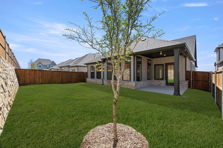 27. 7112 Bergamot - Back (2)