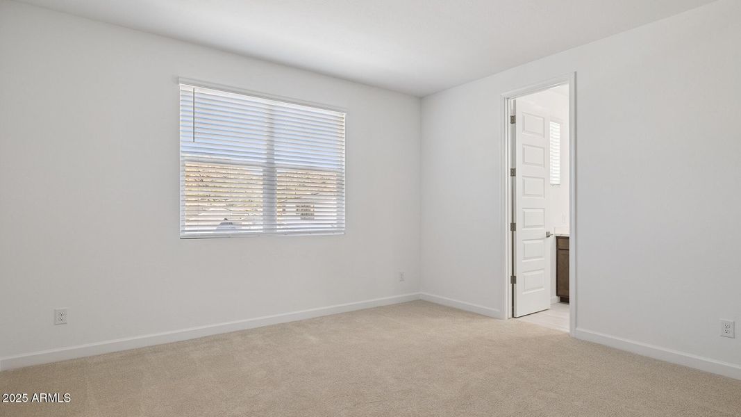 3985_Phoenician_Lot 2078_Aloravita_Peori