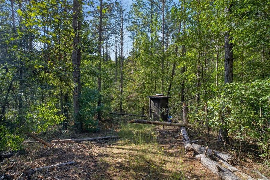 Natural landscape and outdoor views near  in Rockmart (Image 38).