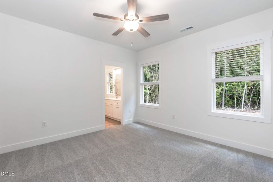 Primary 01 Primary 01