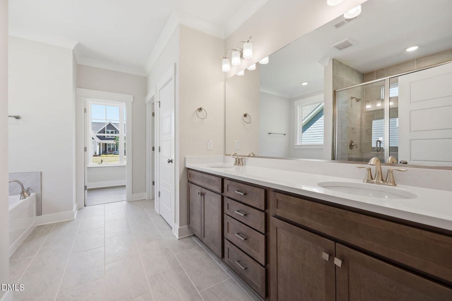 28-web-or-mls-6S8A8999 28-web-or-mls-6S8A8999