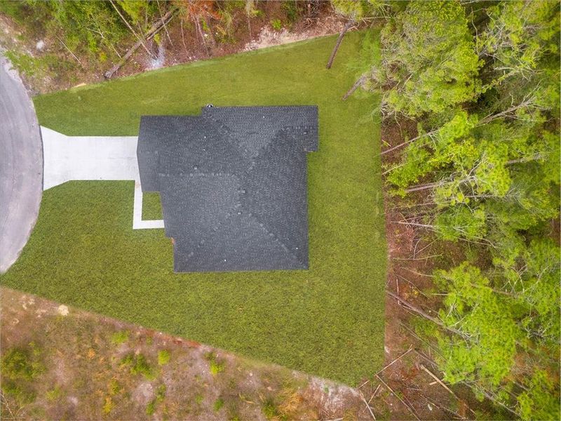 Natural landscape and outdoor views near  in Homosassa (Image 27).