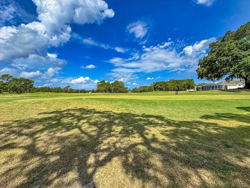 Natural landscape and outdoor views near in Homosassa (Image 46). Natural landscape and outdoor views near in Homosassa (Image 46).