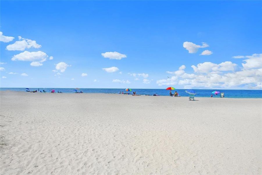 Natural landscape and outdoor views near  in Nokomis (Image 78).
