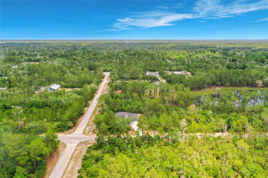 Natural landscape and outdoor views near  in Eustis (Image 47).