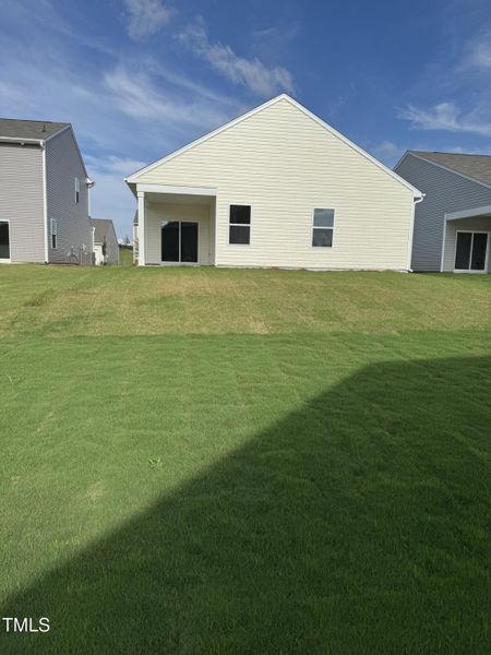 glimmer rear glimmer rear