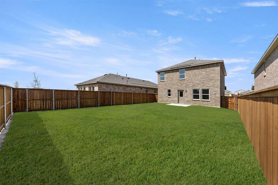 27. 14208 Coness - Back (2)