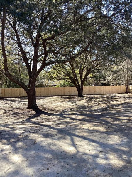 Natural landscape and outdoor views near  in Hollywood (Image 20).