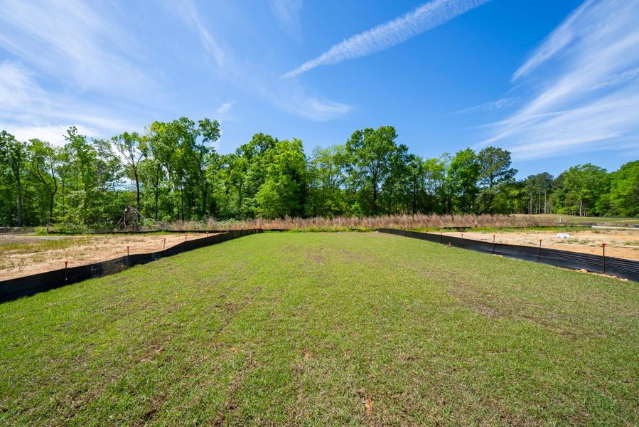Natural landscape and outdoor views near Monroe Preserve in Chapin (Image 49).