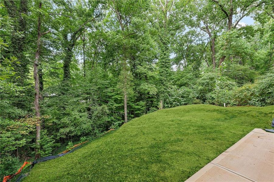 Natural landscape and outdoor views near  in Atlanta (Image 36).