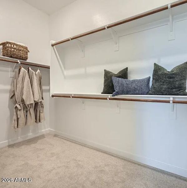 Owners Walk in Closet