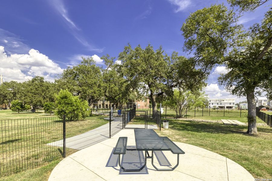 Community amenities in , San Antonio (Image 36).