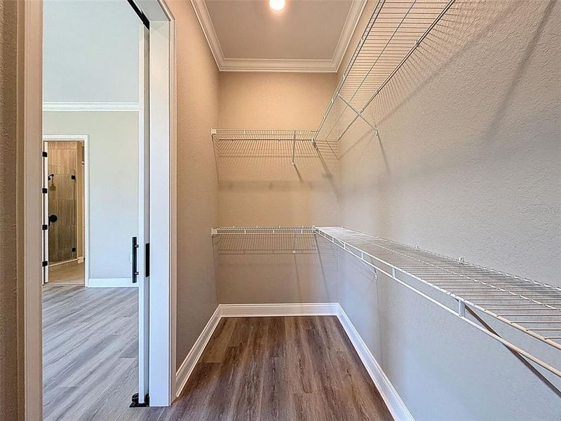 Spacious, unfurnished interior of a new home in , Lakeland (Image 67).