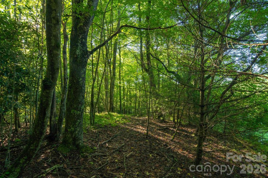 Natural landscape and outdoor views near  in Boone (Image 11).