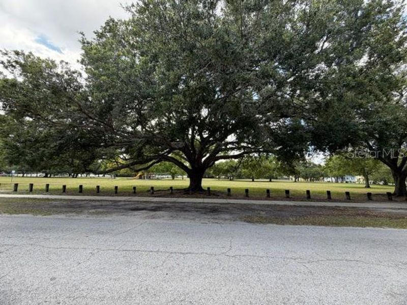 Natural landscape and outdoor views near in Tampa (Image 4). Natural landscape and outdoor views near in Tampa (Image 4).