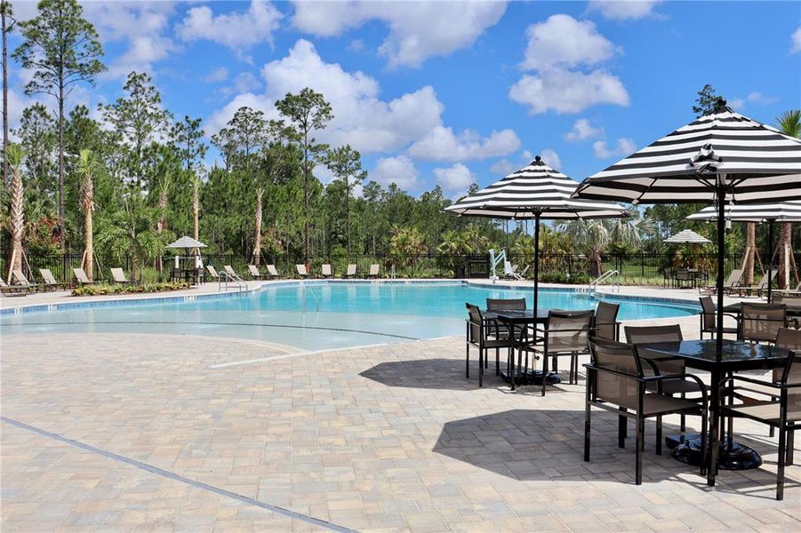 Community amenities in Seminole Palms, Palm Coast (Image 17). Community amenities in Seminole Palms, Palm Coast (Image 17).