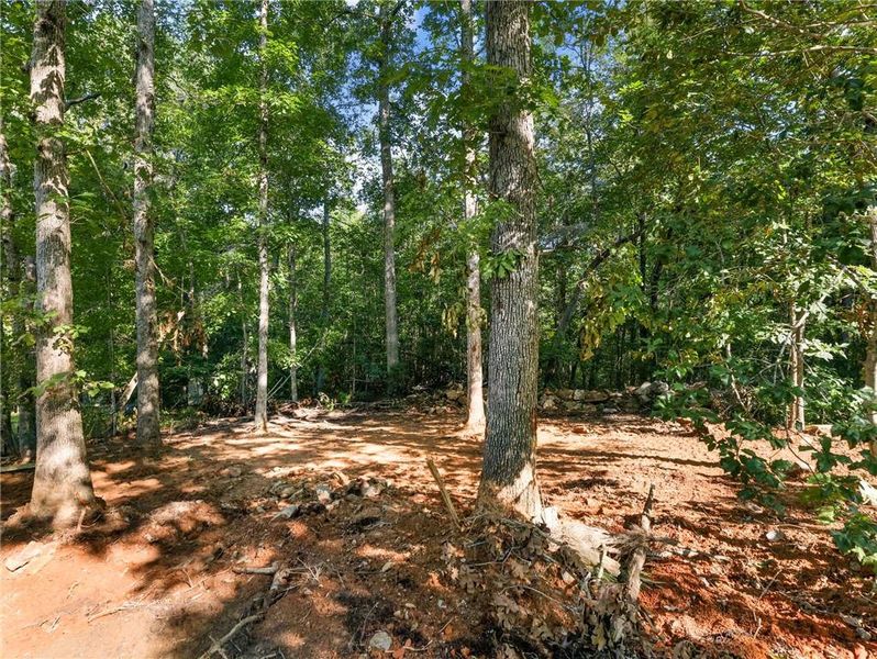 Natural landscape and outdoor views near  in Clarkesville (Image 31).