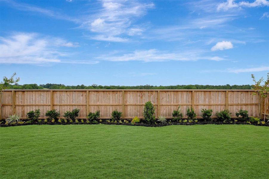Lush landscaping in the backyard
