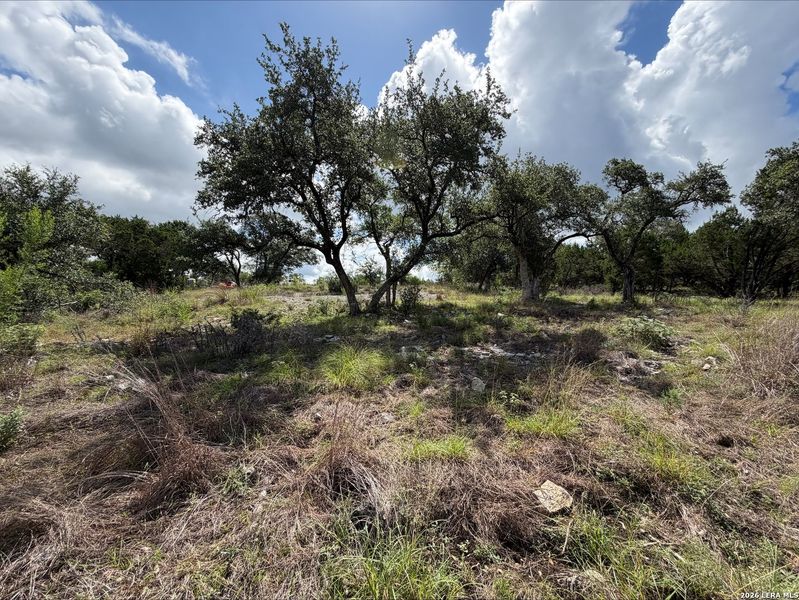 Natural landscape and outdoor views near  in New Braunfels (Image 16).