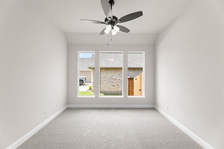 13_35 Magpie-Study-1